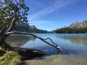 Sils lake